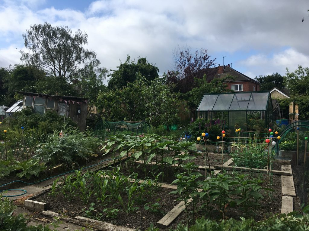 Allotments – Biddulph – The Garden Town of Staffordshire