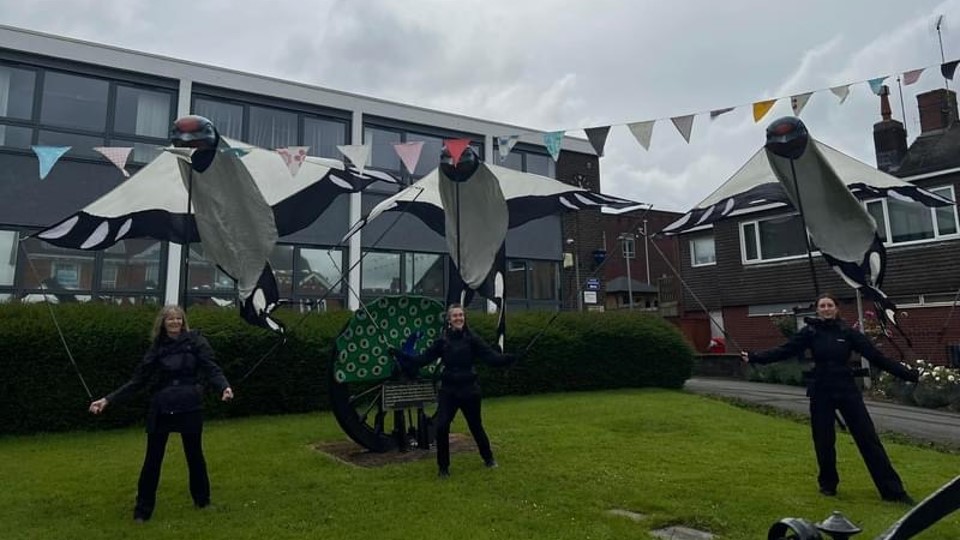 Swallows outside Biddulph Town Hall