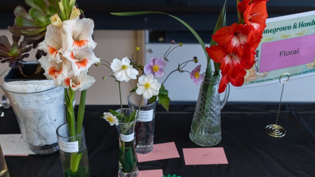 Entries in the Floral category, two gladioli, one wide and red and one red and two japanese anemones, one white and one pink